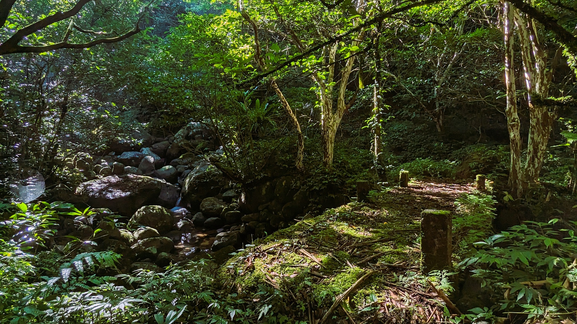 走錯路才有機會看到的美景，我會記得這個光影、石橋、流水。